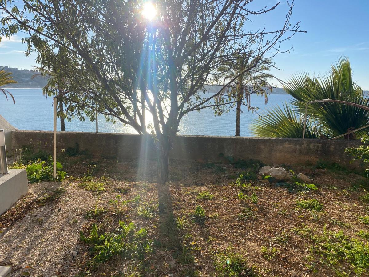 Splendide Studio Miramar Vue Mer Avec Terrasse Bandol Eksteriør billede